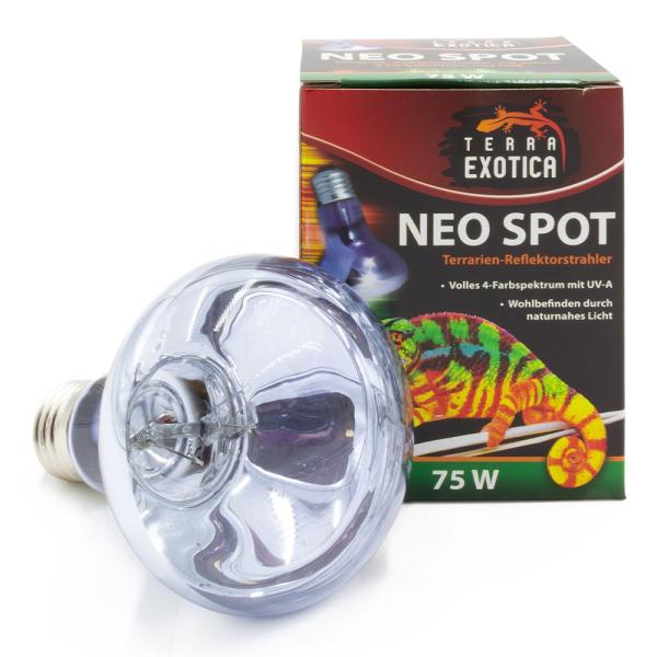 Terra ExoticaNeo Spot - 75 Watt Terrarien-Reflektorstrahler